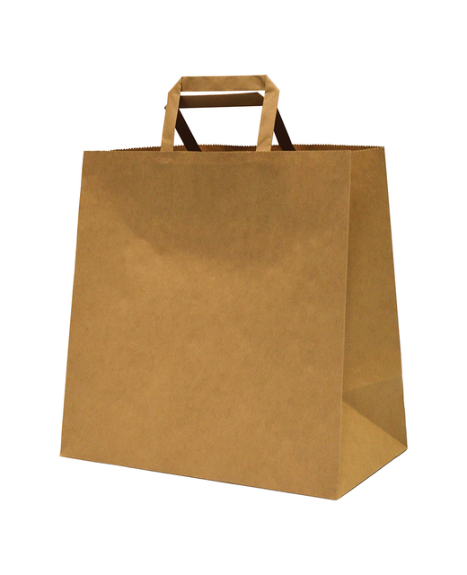 Flat Handle Brown Paper Carry Bag (Medium)