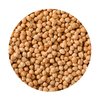 Dried Chickpeas