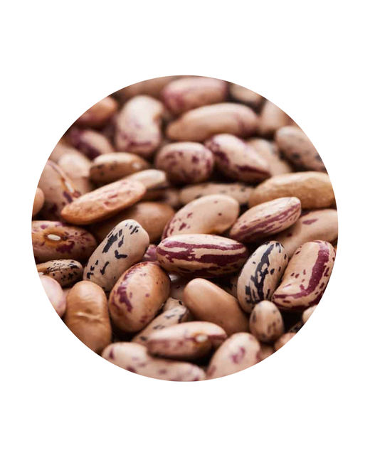 Pinto Beans