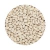 Alubia Cannellini White Beans