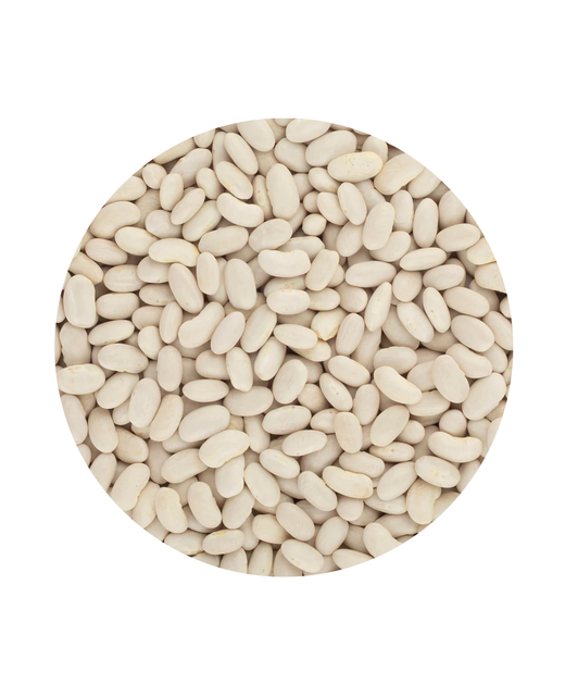 Alubia Cannellini White Beans
