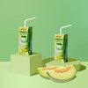 Binggrae Flavoured Milk Drink Melon