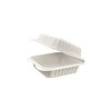 Biodegradable Plastic Container with Hinged Lid 5x5x2.8in