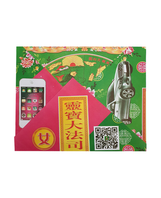 Joss Paper Clothes Bag for Women