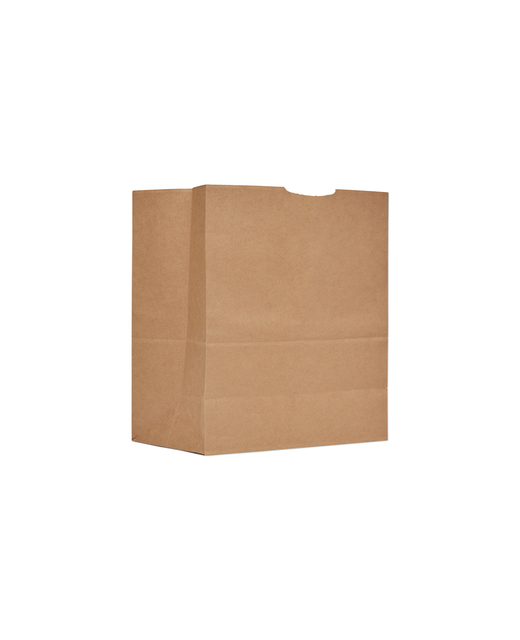 Paper Check Out Bag (Small)