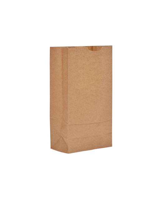 Paper Check Out Bag (Medium)
