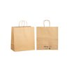 Brown Paper Bag with Twist Handle - Large