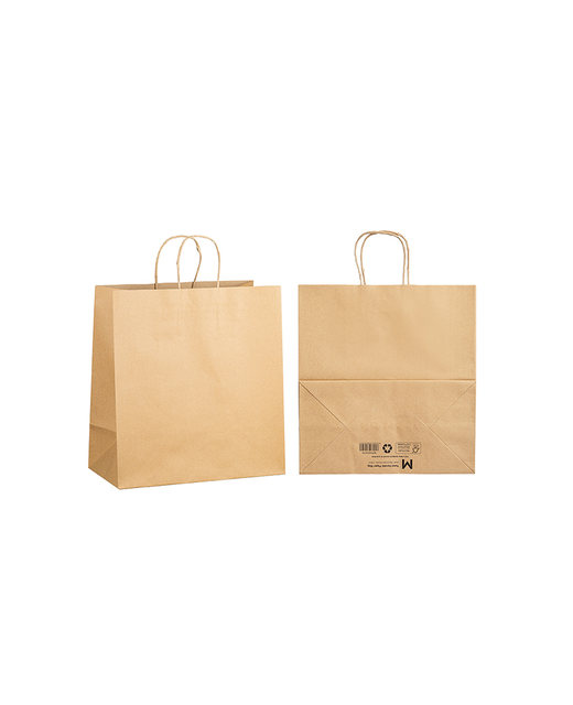 Brown Paper Bag with Twist Handle - Large