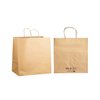 Brown Paper Bag with Twist Handle - X Large