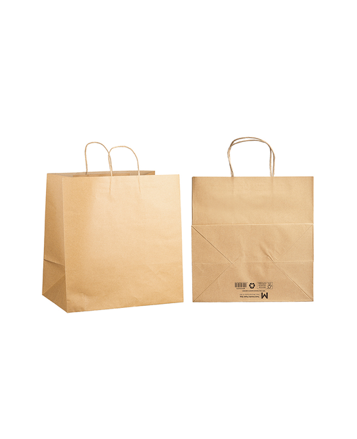 Brown Paper Bag with Twist Handle - X Large