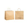 Brown Paper Bag with Twist Handle - Medium
