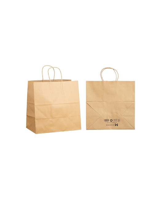 Brown Paper Bag with Twist Handle - Medium