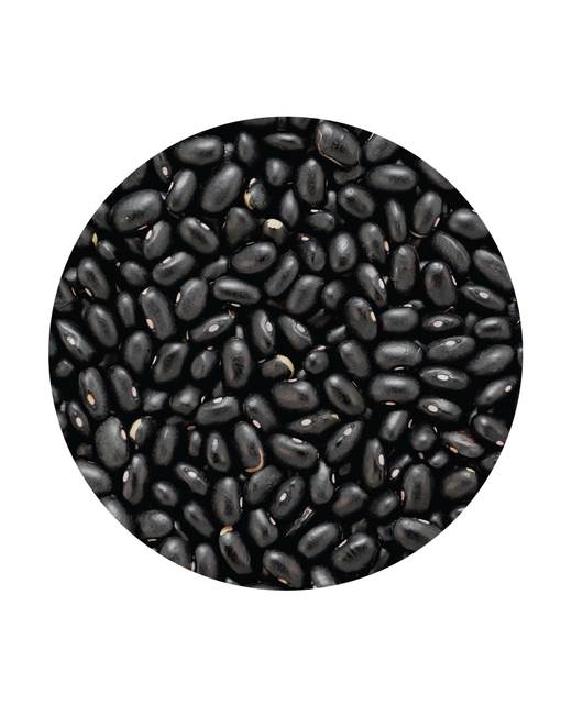 Black Turtle Beans