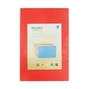 Large Plastic Cutting Board (Red)