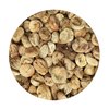 Figs Lerida No.6