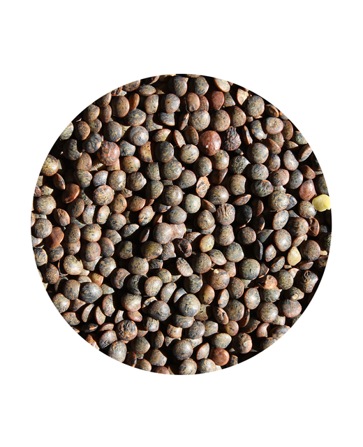 French Green Lentils