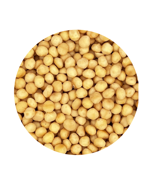 Raw Macadamia Nuts Whole