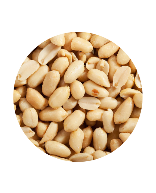 Blanched Raw Peanuts