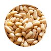 Pinenuts