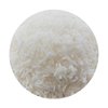 Coconut Desiccated Medium