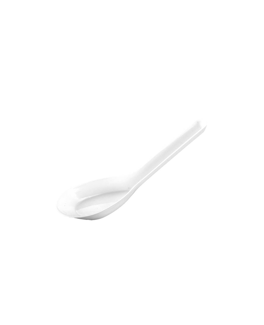 Chinese Spoon