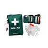 Mini First Aid Kit