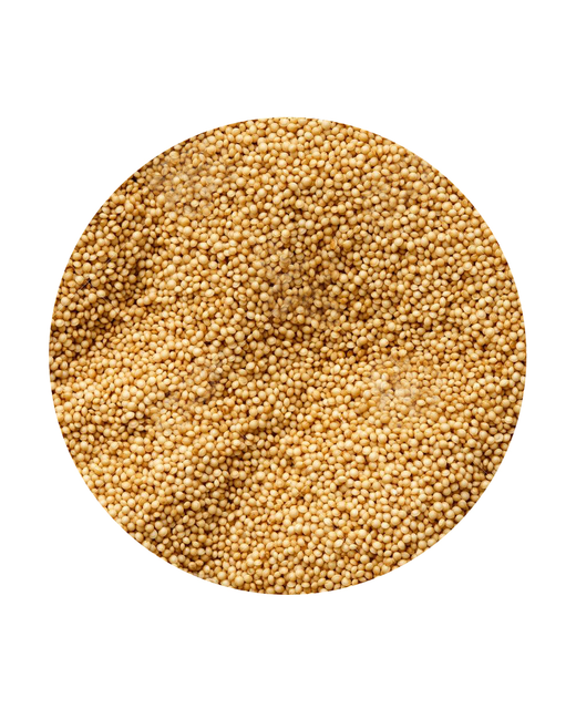 Amaranth Seeds