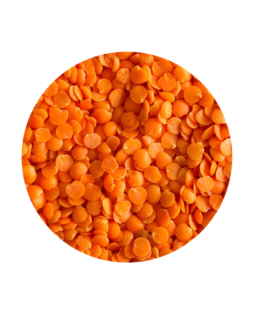 Red Split Lentils Masoor Dal