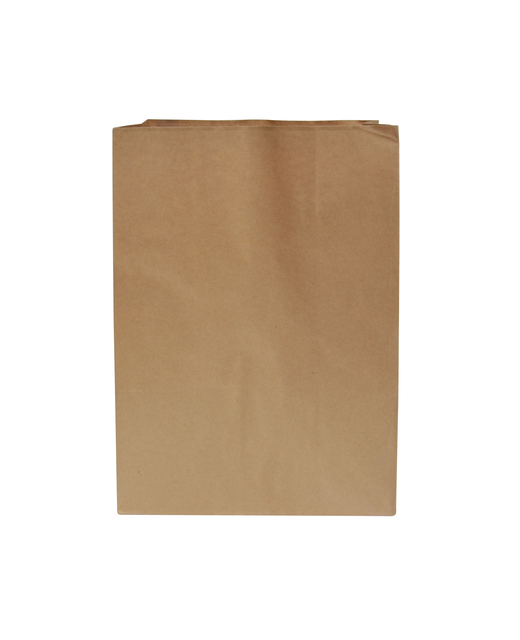 Check Out Paper Bag Large 280mmx445mmx150mm