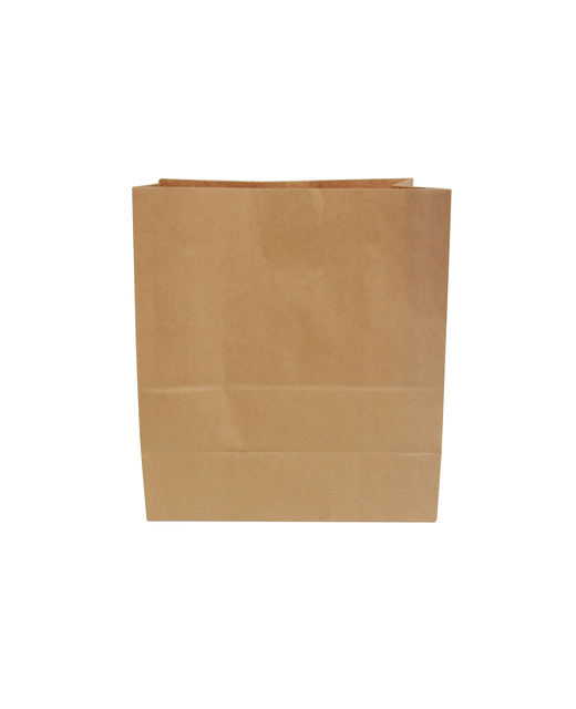 Check Out Paper Bag Medium 280mmx325mmx150mm