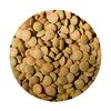 Brown Laird Lentils (Yellow Inside)