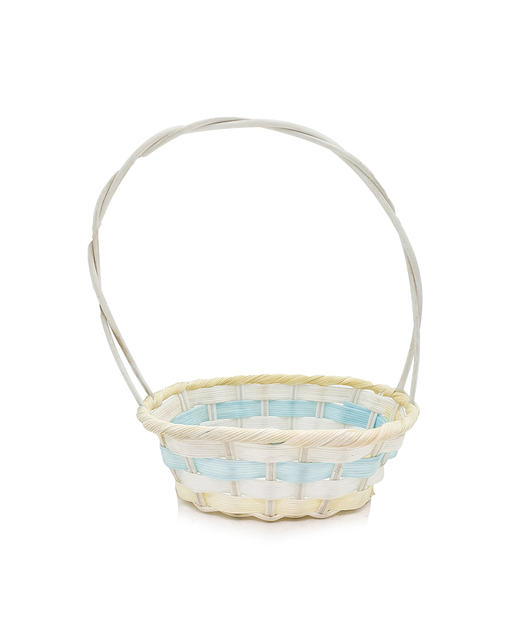 Plastic Carry Basket