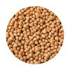 Dried Chickpeas